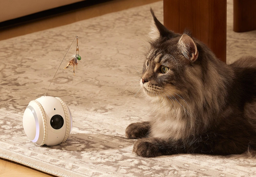 A Deep Dive into Best Pet Watching Camera Technology