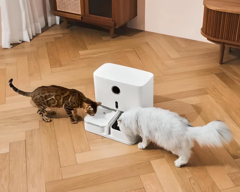 top pets automatic feeder